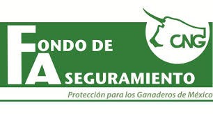 Fondo de Aseguramiento