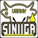 SINIIGA